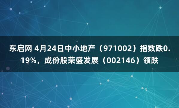 东启网 4月24日中小地产(971002)指数跌0.19%,成份股荣盛发展(002146)领跌