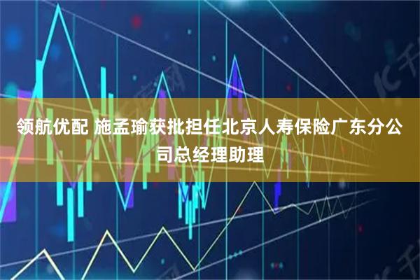 领航优配 施孟瑜获批担任北京人寿保险广东分公司总经理助理